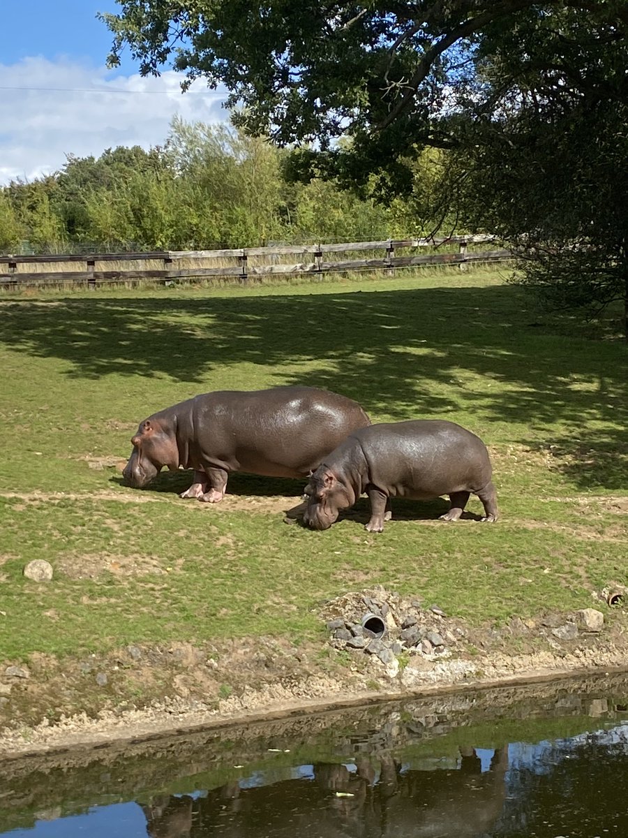 Ed Goodall tweet media