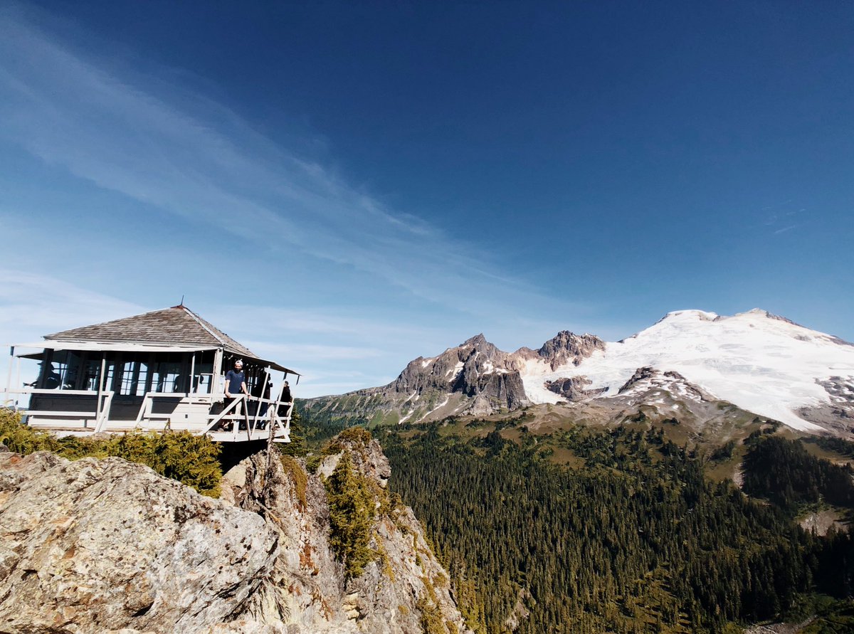 Scott Meis tweet media