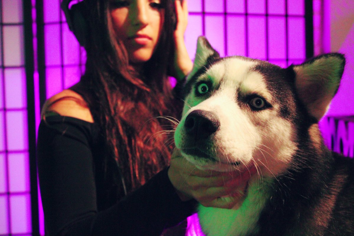 LyssConte's tweet image. Huskys and trap music