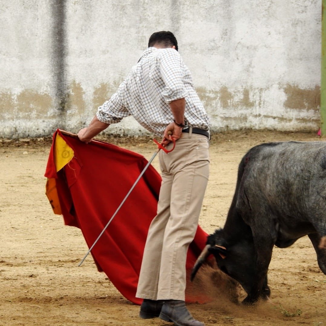 Info Martín Escudero (@martinescudero_) on Twitter photo 