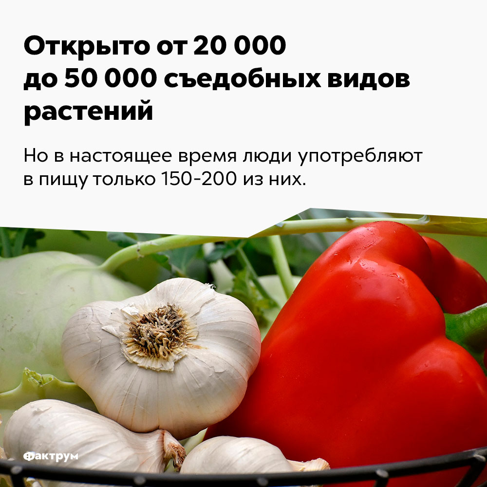 Фактрум (@factroom) on Twitter photo 