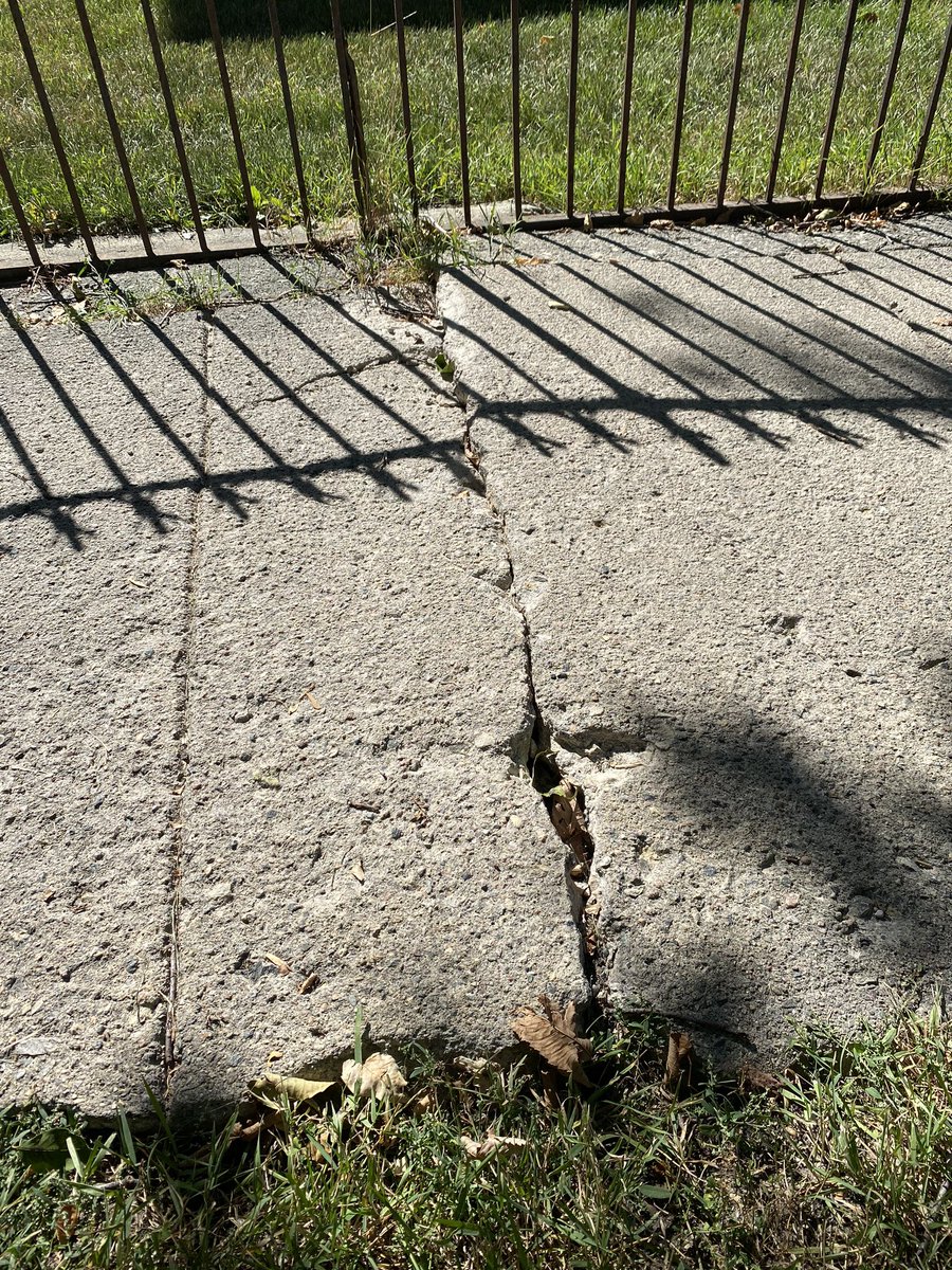 Inaccessible pedestrian infrastructure has real costs. This uneven sidewalk injured an older neighbour this morning, and necessitated a response from emergency workers 1/