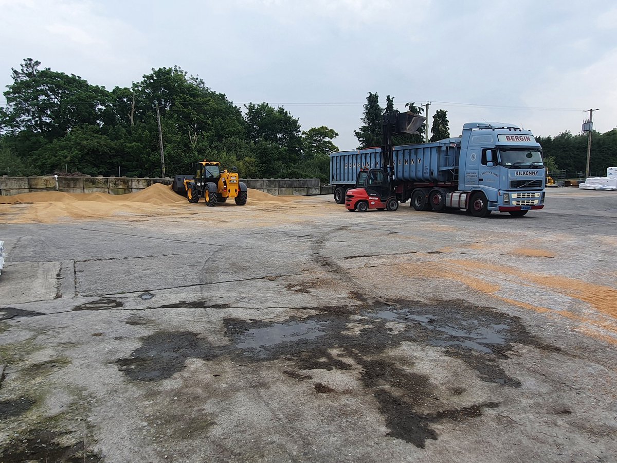 PbBergin's tweet photo. Big panic before "more rain" today!!!🙄 with old reliable @VolvoTrucks and @SDCtrailers combination #harvest2020 @countrylifegc https://t.co/vCUi9rmJkF