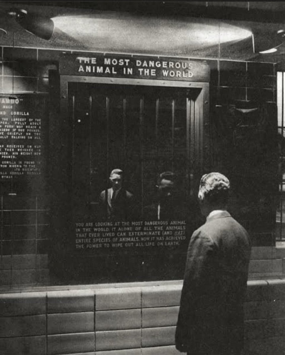 giuliocavalli's tweet photo. 1963. Zoo di New York. Tra le gabbie degli animali c’è uno specchio. 
Dice: “l’animale più pericoloso del mondo”. https://t.co/vaQFS0zgXx