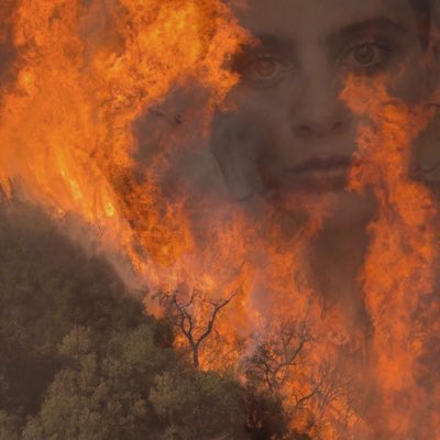 Grow Digga tweet media