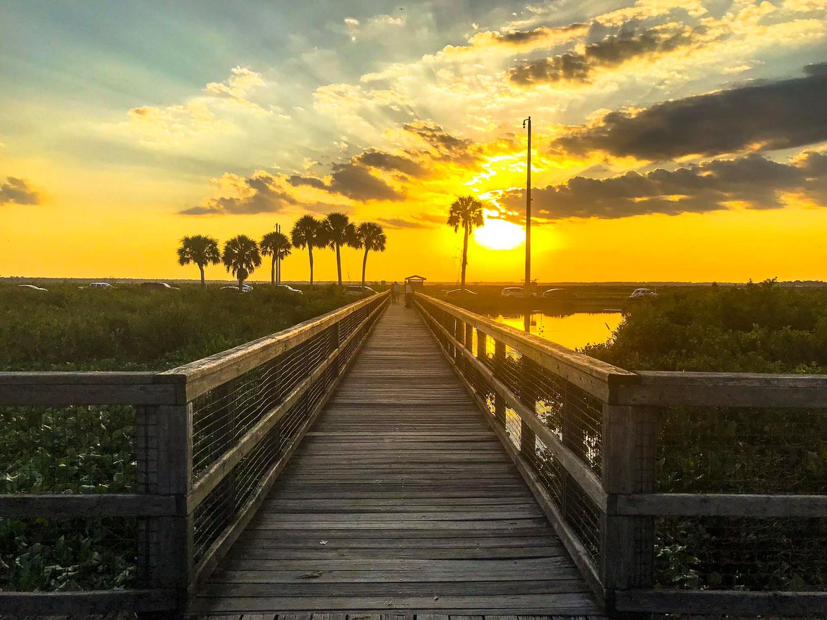 I'm super excited to announce I'll be recruiting a second PhD student this fall to join the Florida Social Cognition and Emotion Lab at <a href="/UF/">FLORIDA</a> <a href="/UFPsychology/">UF Psychology Dept</a>! Drop me a note if interested. And please (pls!) RT and direct your undergrads my way!