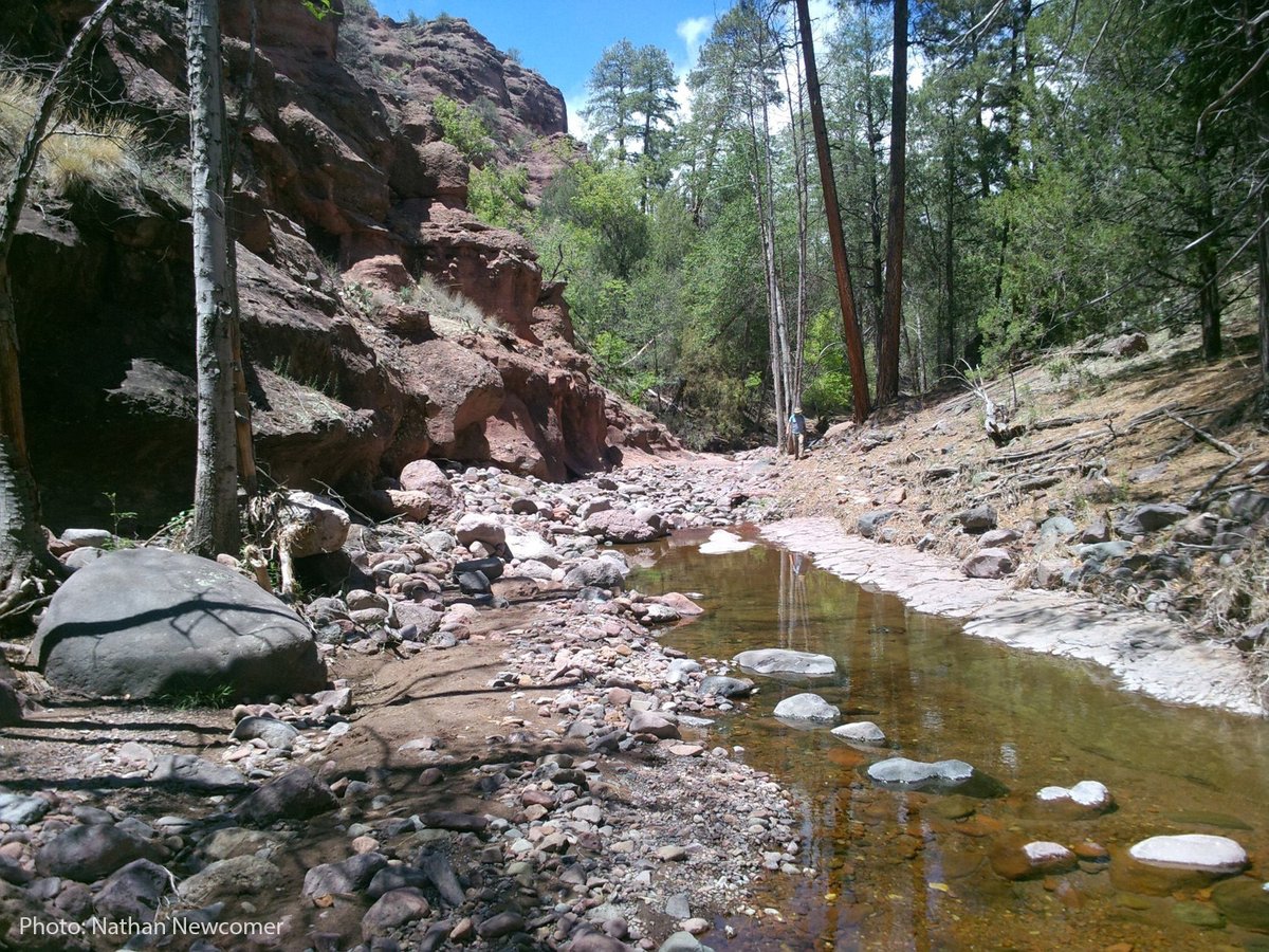 Where's Waldo? 👀We love exploring the bosque with friends, just make sure you're within eyesight of your group. It's easy to get lost in the beauty of 3.3. million acres.