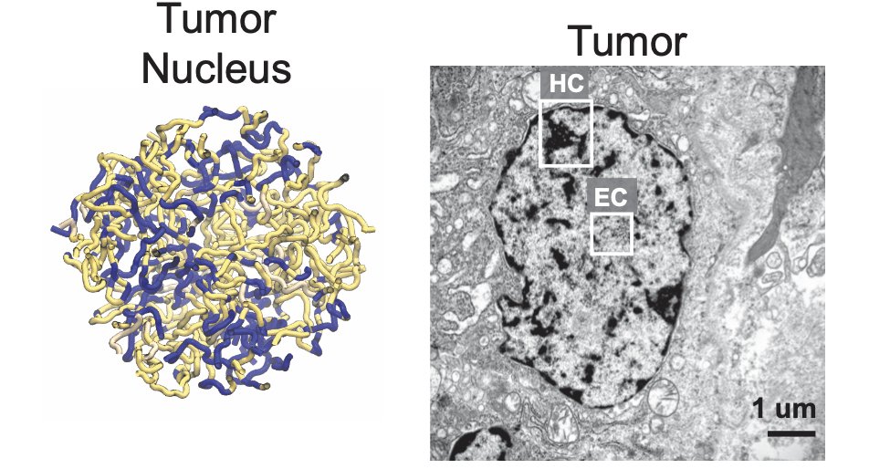 Martin Aryee (@martinaryee) on Twitter photo 