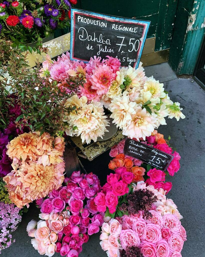FallingOffBikes's tweet image. // Dahlia season 💓☺️ I never even paid attention to dahlias until a few years ago. Last year I happened upon a huge section of a garden of dahlias and proceeded to take hundreds of photos. 📷 Although that garden is a train ride away from here, I may … instagr.am/p/CESRE6EAGIg/