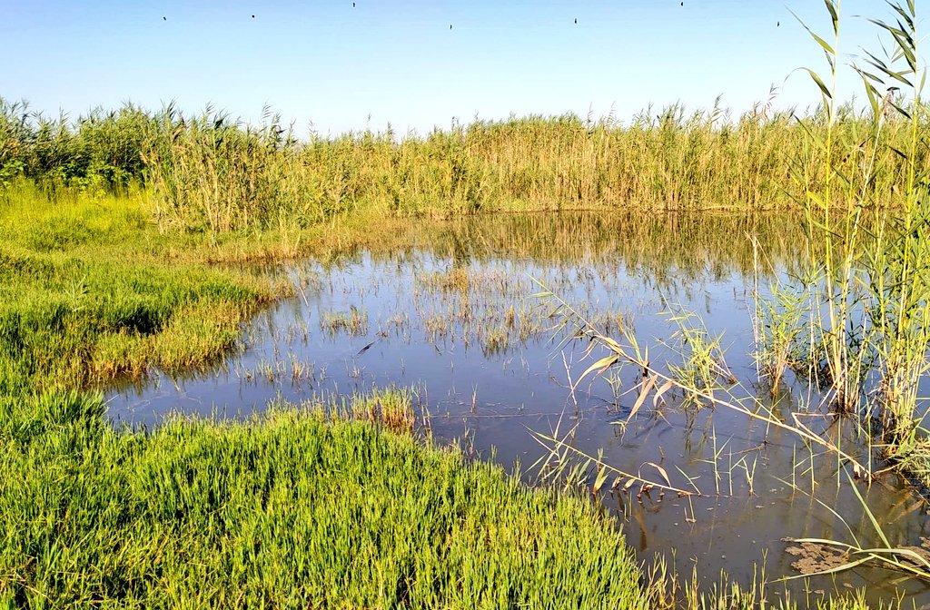 Pablo Vera (pablovera.bsky.social) tweet media