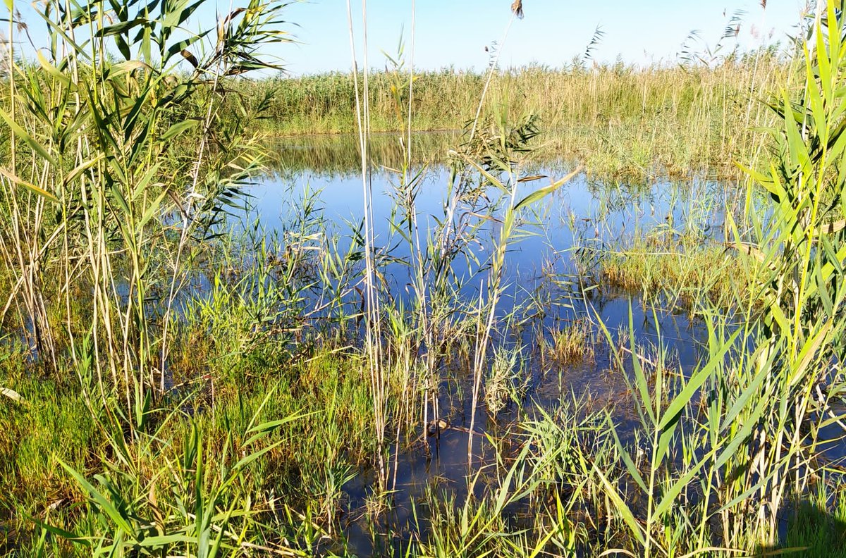 Pablo Vera (pablovera.bsky.social) tweet media