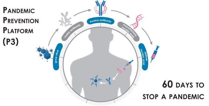 DARPA (@darpa) on Twitter photo Research published today as part of DARPA’s P3 program in <a href="/NatImmunol/">Nature Immunology</a> by <a href="/WUSTLmed/">Test Account</a> demonstrated that SARS-CoV-2 infection in the lungs of human ACE2 transgenic mice causes severe inflammation, immune cell infiltration, & compromised respiratory function: nature.com/articles/s4159… Research published today as part of DARPA’s P3 program in <a href="/NatImmunol/">Nature Immunology</a> by <a href="/WUSTLmed/">Test Account</a> demonstrated that SARS-CoV-2 infection in the lungs of human ACE2 transgenic mice causes severe inflammation, immune cell infiltration, & compromised respiratory function: nature.com/articles/s4159…
