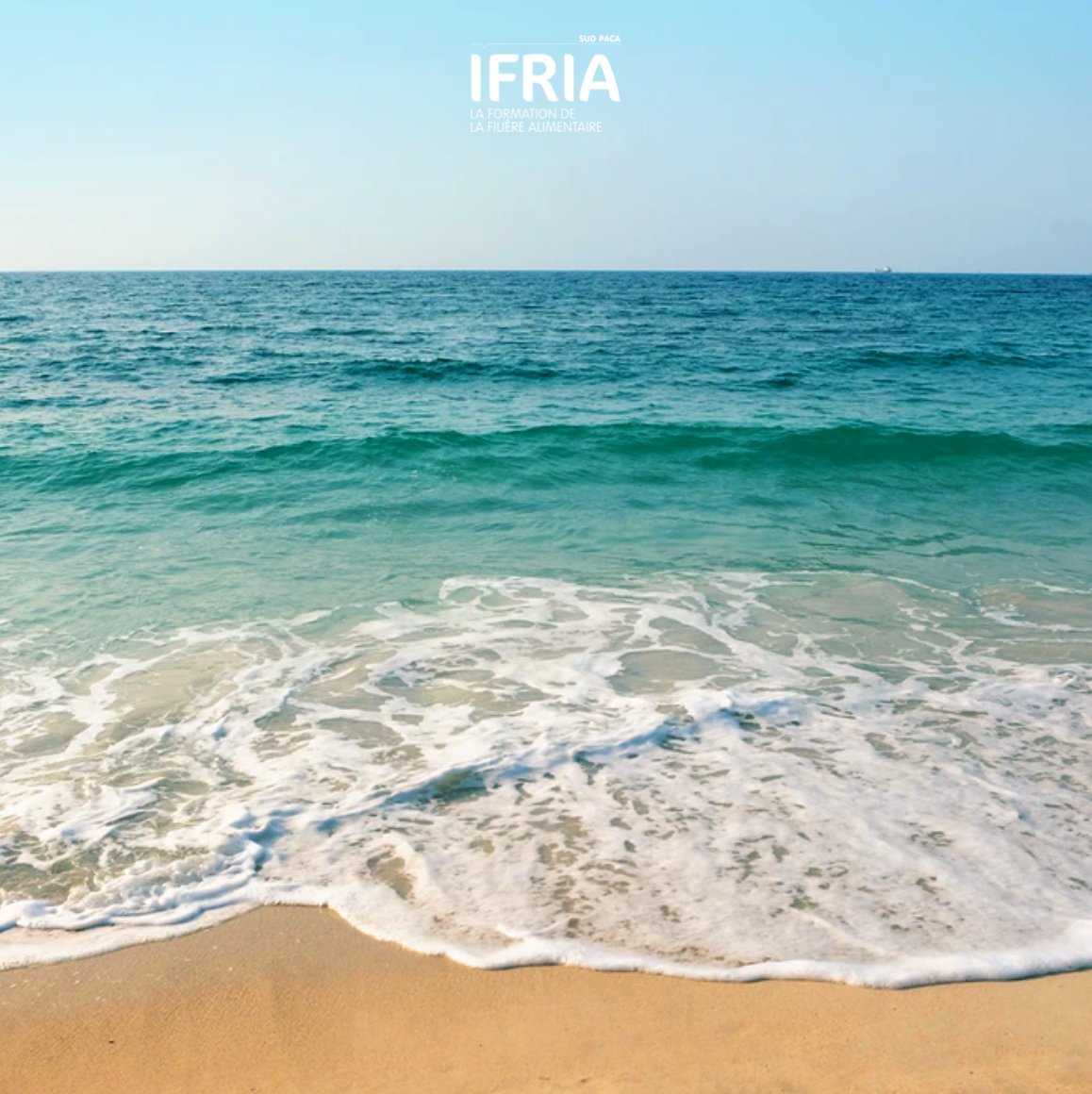 Bonnes vacances à tous ! Et vous, quelle est votre destination cet été ? 🏝🏔🏕

#ifriasudpaca #vacances