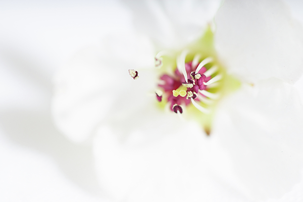 Erin McCandless Photography tweet media