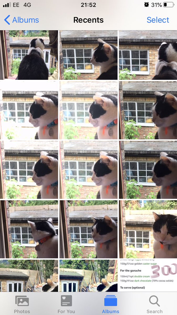 F_F_Podcast's tweet photo. @ChocLime @michellemisfitx @Rutherina Not to worry, the phone is stocked up, and there are two other cats about, and we’ll have a holiday puppy during our break, so for a bit #QuarantineCats may need to become #QuarantineDogs 👀 https://t.co/iSeLQUUjVl