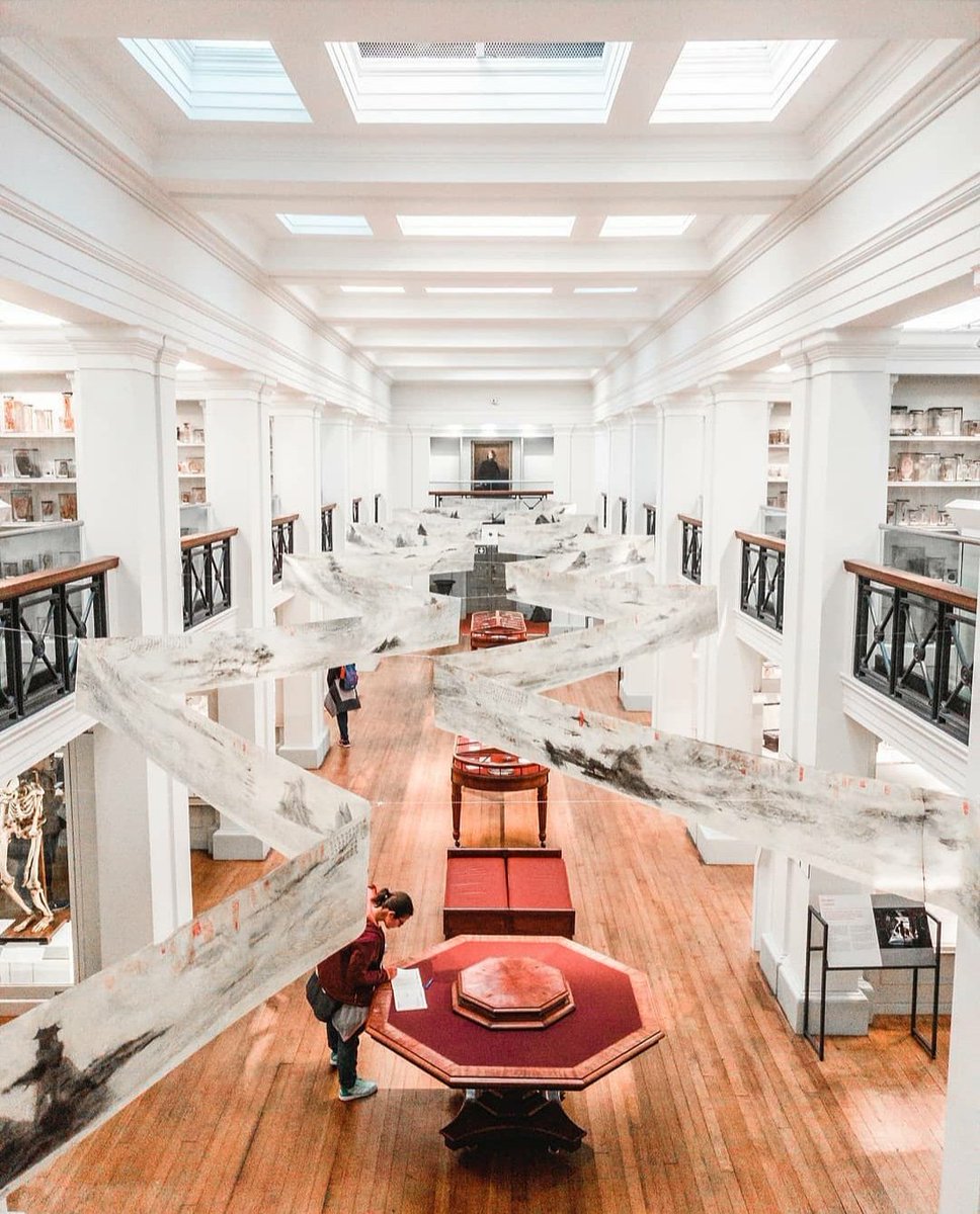 EdinburghGrand's tweet photo. Home to one of the largest and most historic pathology collections in the UK, Sugeons Hall also happens to be the oldest museum in Scotland. Finally the wait is over, and they have reopened their doors to the public!
#EdinburghForever #SurgeonsHall #ChevalTheEdinburghGrand https://t.co/bfUDFQC5B4