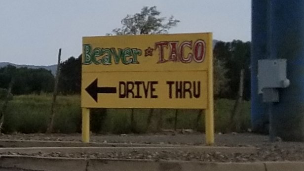 Nothing like some...... Beaver Taco.