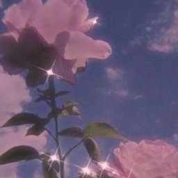 아나 ⟭⟬🦋 tweet media