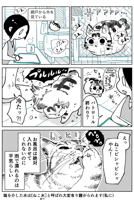 3本足のしじみちゃん93 
