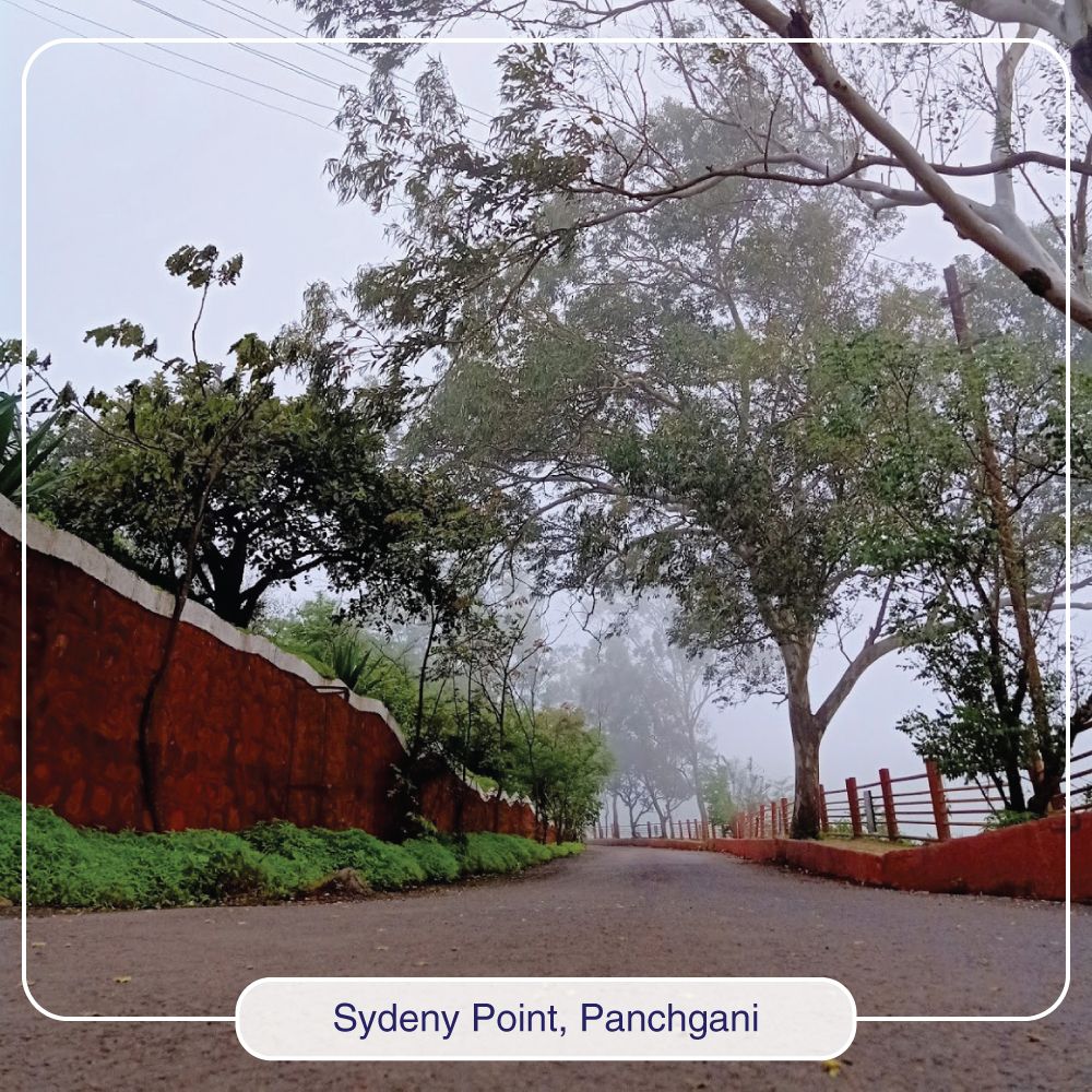 RavineHotel's tweet photo. Sydney Point, is the closest tourist spot to Ravine Hotel. In fact, you can easily see it from one of the corner rooms. During monsoons, when everything is green, the climate is windy and the temperature pleasant, you would want to hike here every single day. #sydneypoint https://t.co/rO1woWXVFz