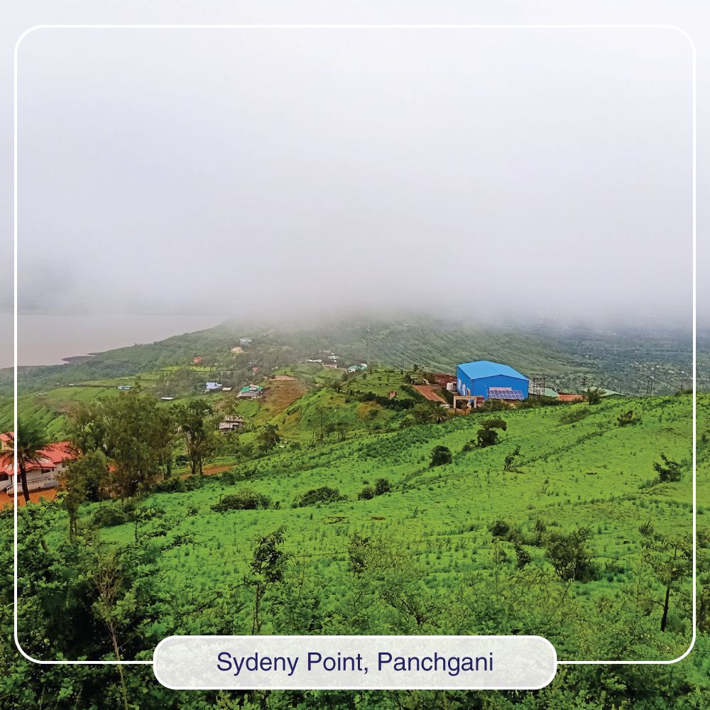 RavineHotel's tweet photo. Sydney Point, is the closest tourist spot to Ravine Hotel. In fact, you can easily see it from one of the corner rooms. During monsoons, when everything is green, the climate is windy and the temperature pleasant, you would want to hike here every single day. #sydneypoint https://t.co/rO1woWXVFz