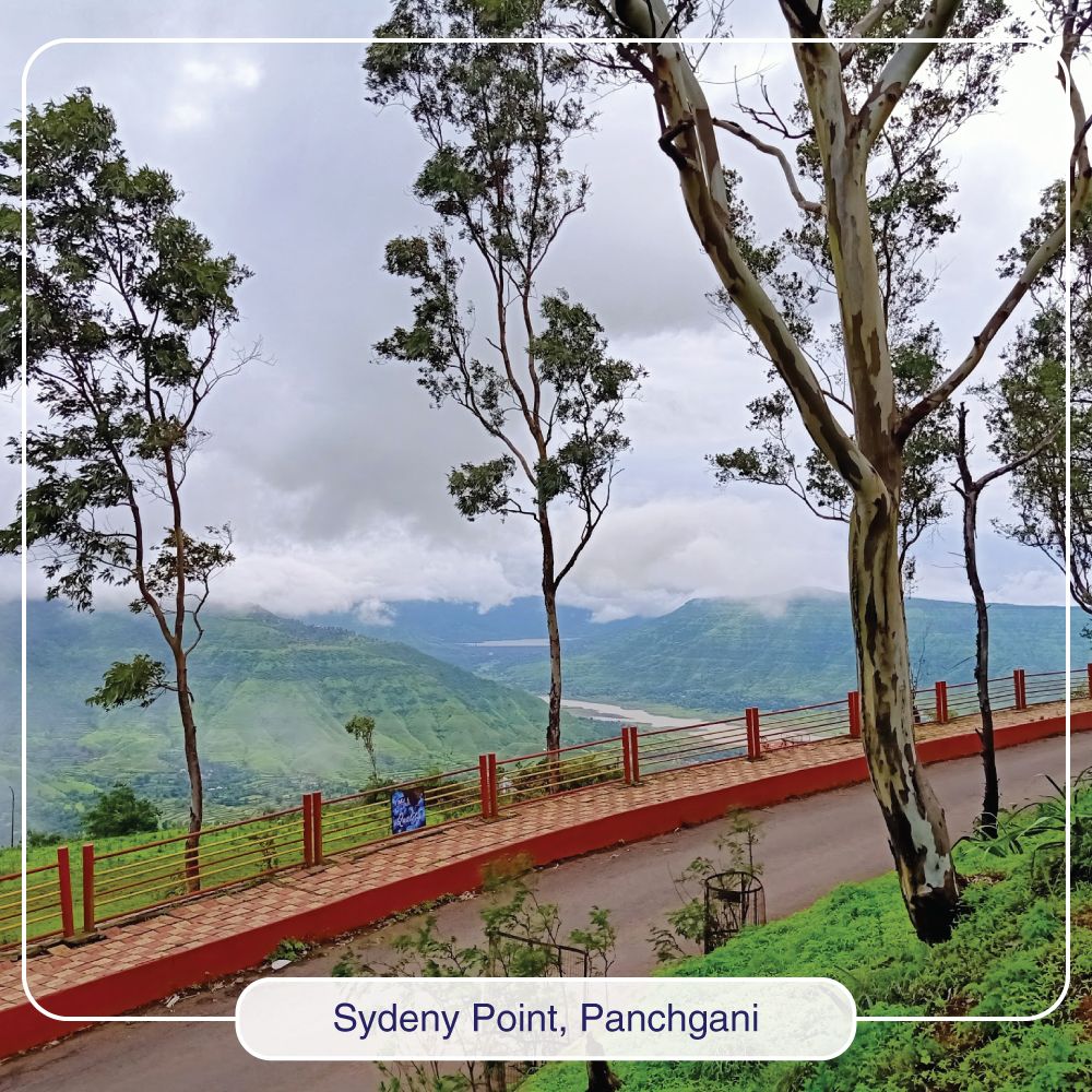 RavineHotel's tweet photo. Sydney Point, is the closest tourist spot to Ravine Hotel. In fact, you can easily see it from one of the corner rooms. During monsoons, when everything is green, the climate is windy and the temperature pleasant, you would want to hike here every single day. #sydneypoint https://t.co/rO1woWXVFz