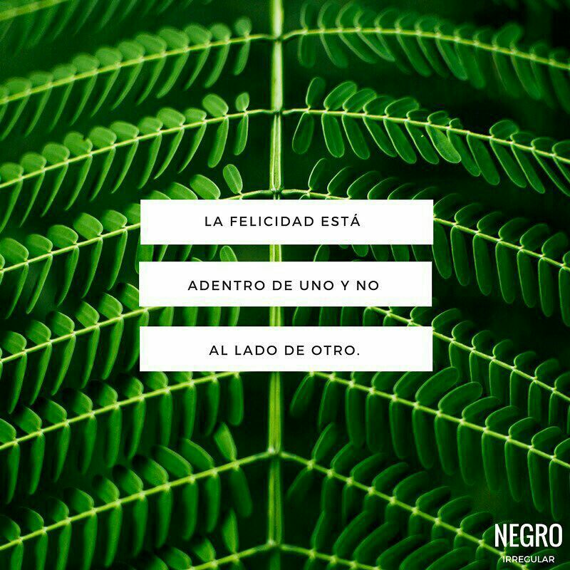 marieliguevara's tweet photo. Unos mensajitos por si los necesitas:
😉👇
#NegroIrregular https://t.co/DFnPQ8IDgP