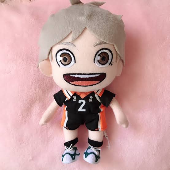 ★彡 Sugawara Plushie!