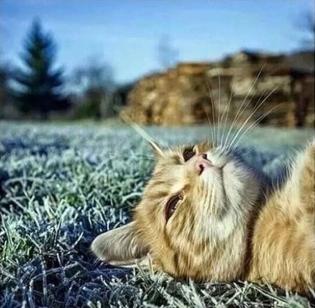 Intl_Highlife's tweet photo. When you smoke too much weed and start thinking some deep shit https://t.co/hGnwr9dOaE
