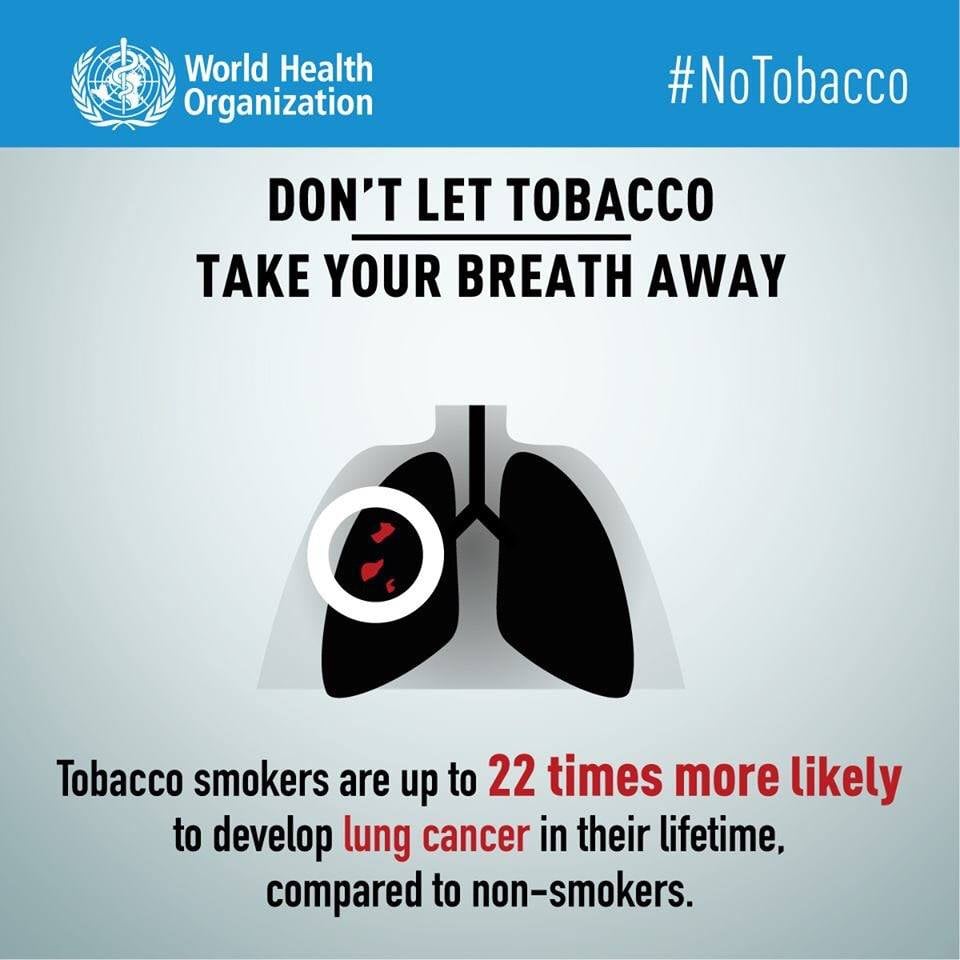 QuitlineDoh's tweet photo. Make DOH QUITLINE your quit smoking buddy, call 165-364 and let's start your quitting journey.

Choose to be lung healthy for you and your family.

#quitsmoking 🚭
#DOHQUITLINE
#09212039534 ☎️
#09776277539 ☎️
#QuitlineCares

Source:WHO FB page https://t.co/d3atuQz7xI