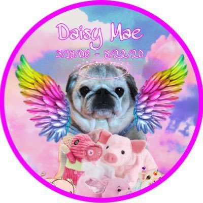 Ruby_Elizab's tweet image. #NewProfilePic