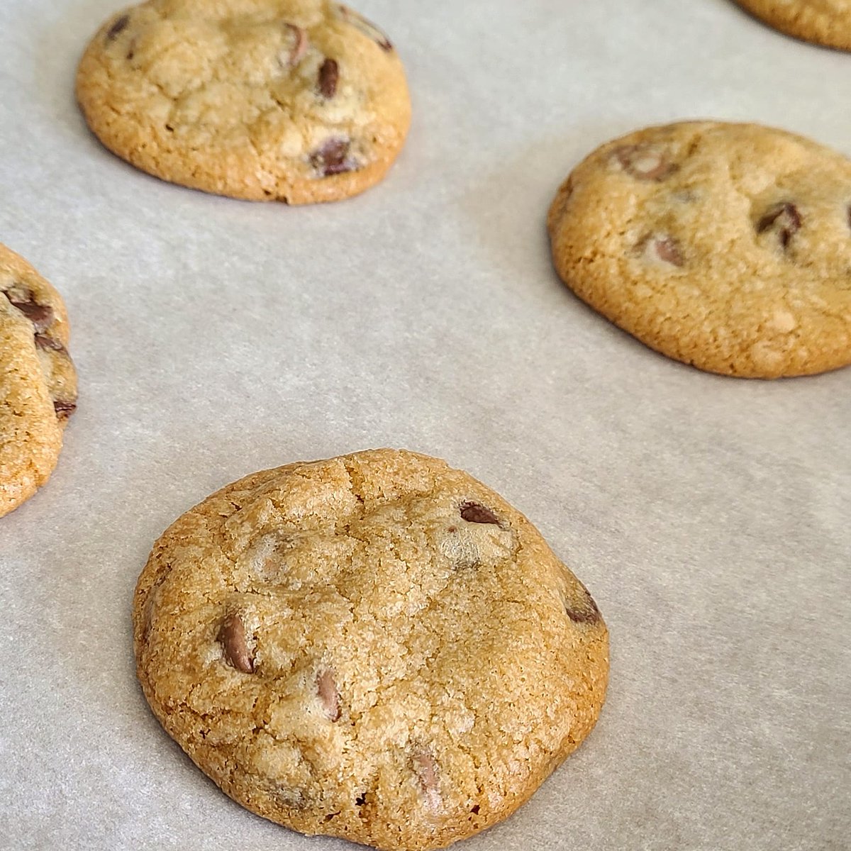 WhippedUpYEG's tweet photo. On dreary days like today its best to bake cookies! Not only does it lift your spirits, but the place smells amazing too 🥰! https://t.co/pkCsBNOl3P
