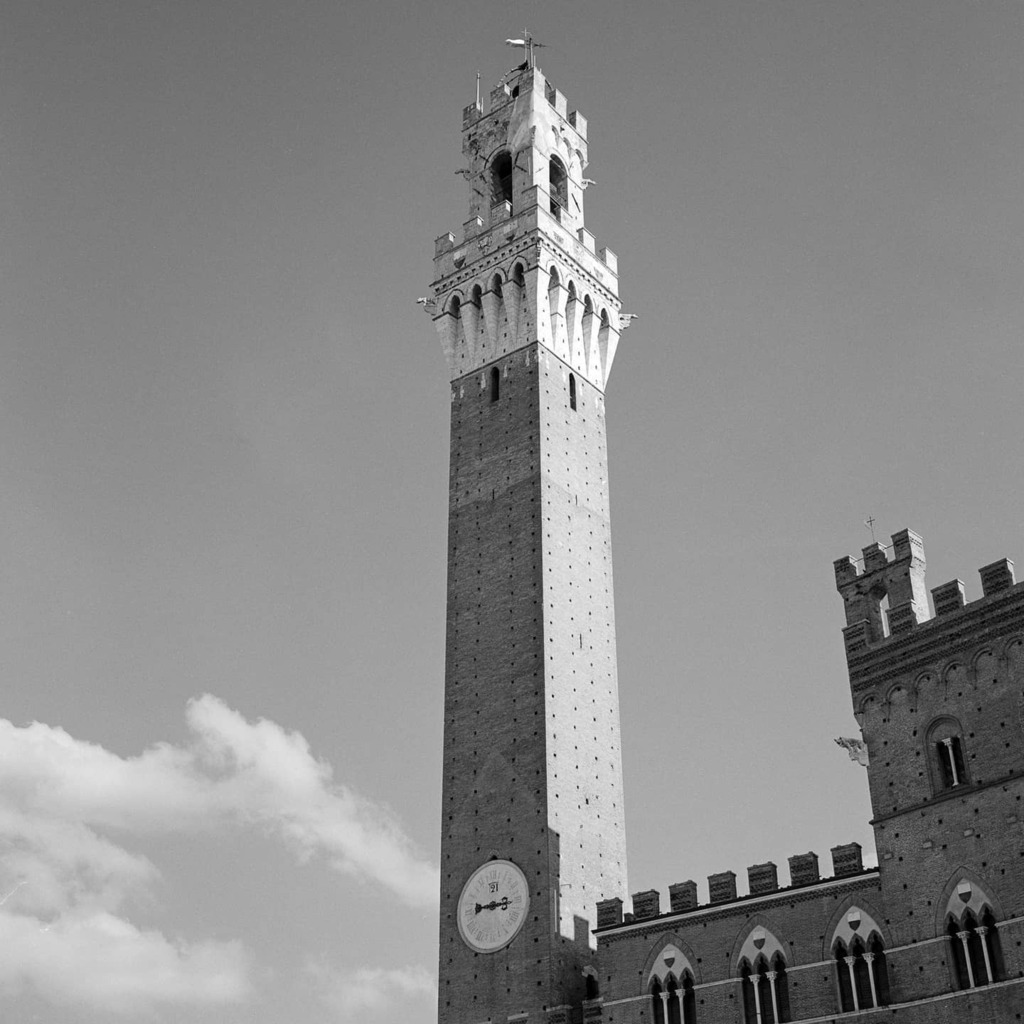 scottmicciche's tweet photo. Torre del Mangia, Siena, replete with perfect gargoyles ...
.
.
#rolleiflex35f #75mm #planar #ilfordfilm #ilford #madewithilford #hp5plus #fa1027 #siena #toscana #italia #mediumformat #sixbysix #120love #120film #architecturephotography #gargoyles #filmf… https://t.co/P1z2yhulNH https://t.co/T9bEgWiGav