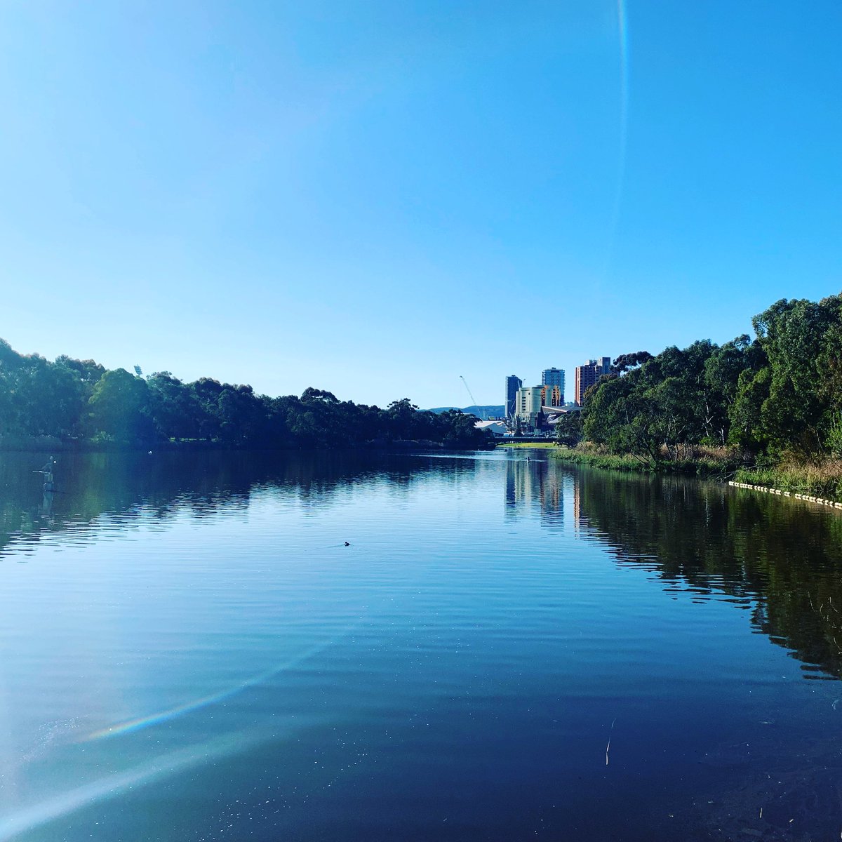 Daily Move. You wouldn’t know it by the photo but is actually winter here in Adelaide, what a great day to get out and get moving. Have you moved today? #moveot #DailyMove #motivate #recover #develop #maintain