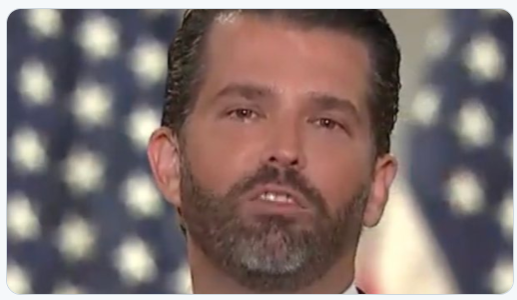 Jonblain's tweet photo. The face you make when you really don't wanna go to jail for the sins of your father...or yours. 
#DonaldTrumpJR #RNC #TrumpVirus #TrumpsAmerica #TrumpChaos #WhereIsGeorgeWBush #MakePoliticsBoringAgain https://t.co/DgCZMEi9UE