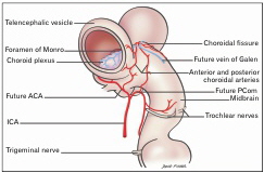 AcbjournalO's tweet photo. Choroidal fissure and choroidal fissure cysts: a comprehensive review

https://t.co/m6SgR9vSb2
Anat Cell Biol 2020; 53(2): 121-125

#대한해부학회 #AnatomyCellBiology
#ArachnoidCyst #ThirdVentricle #ChoroidalFissure #ChoroidalFissureCyst #BasalCistern https://t.co/8fG3NvnKsS