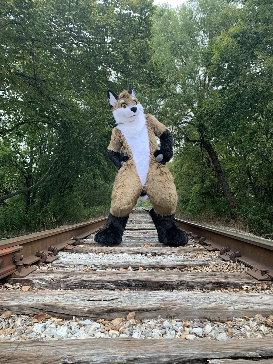 DarwinTheFox's tweet photo. Some fursuit photos right after getting my fursuit 😊

Fursuit made by @Furever_Studios 

#furry #furryfandom #Fursona #fursuit  #fursuitphoto #twitterfur https://t.co/SSApcu9ht4