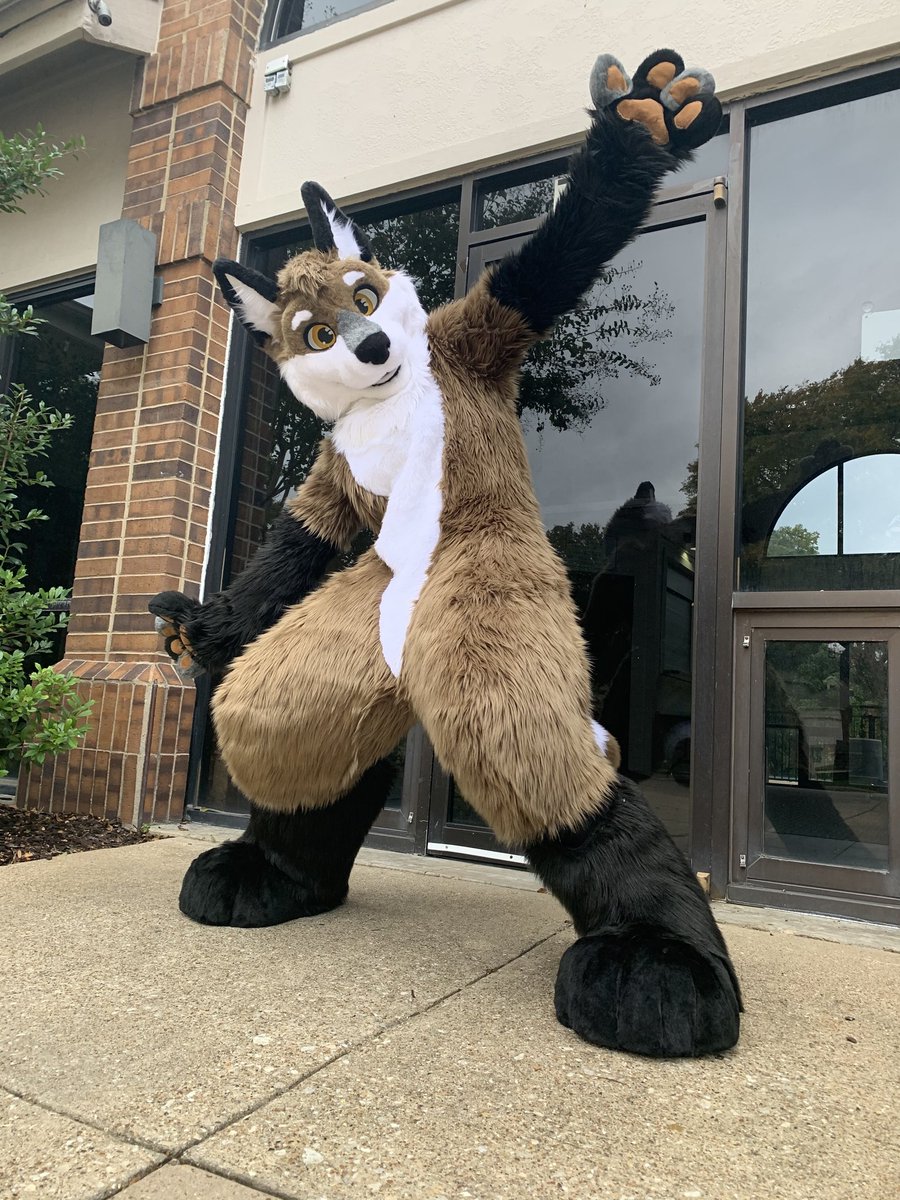 DarwinTheFox's tweet photo. Some fursuit photos right after getting my fursuit 😊

Fursuit made by @Furever_Studios 

#furry #furryfandom #Fursona #fursuit  #fursuitphoto #twitterfur https://t.co/SSApcu9ht4