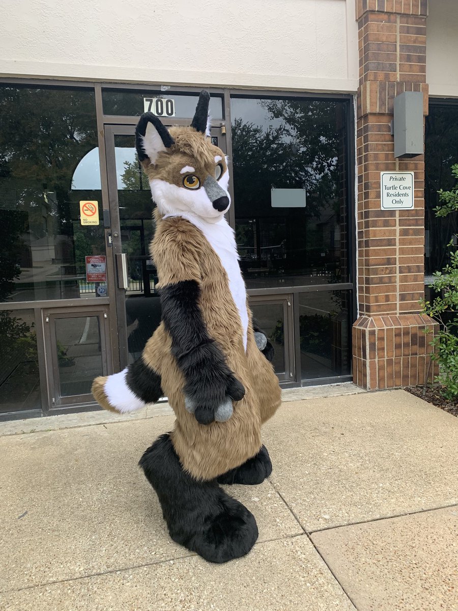 DarwinTheFox's tweet photo. Some fursuit photos right after getting my fursuit 😊

Fursuit made by @Furever_Studios 

#furry #furryfandom #Fursona #fursuit  #fursuitphoto #twitterfur https://t.co/SSApcu9ht4