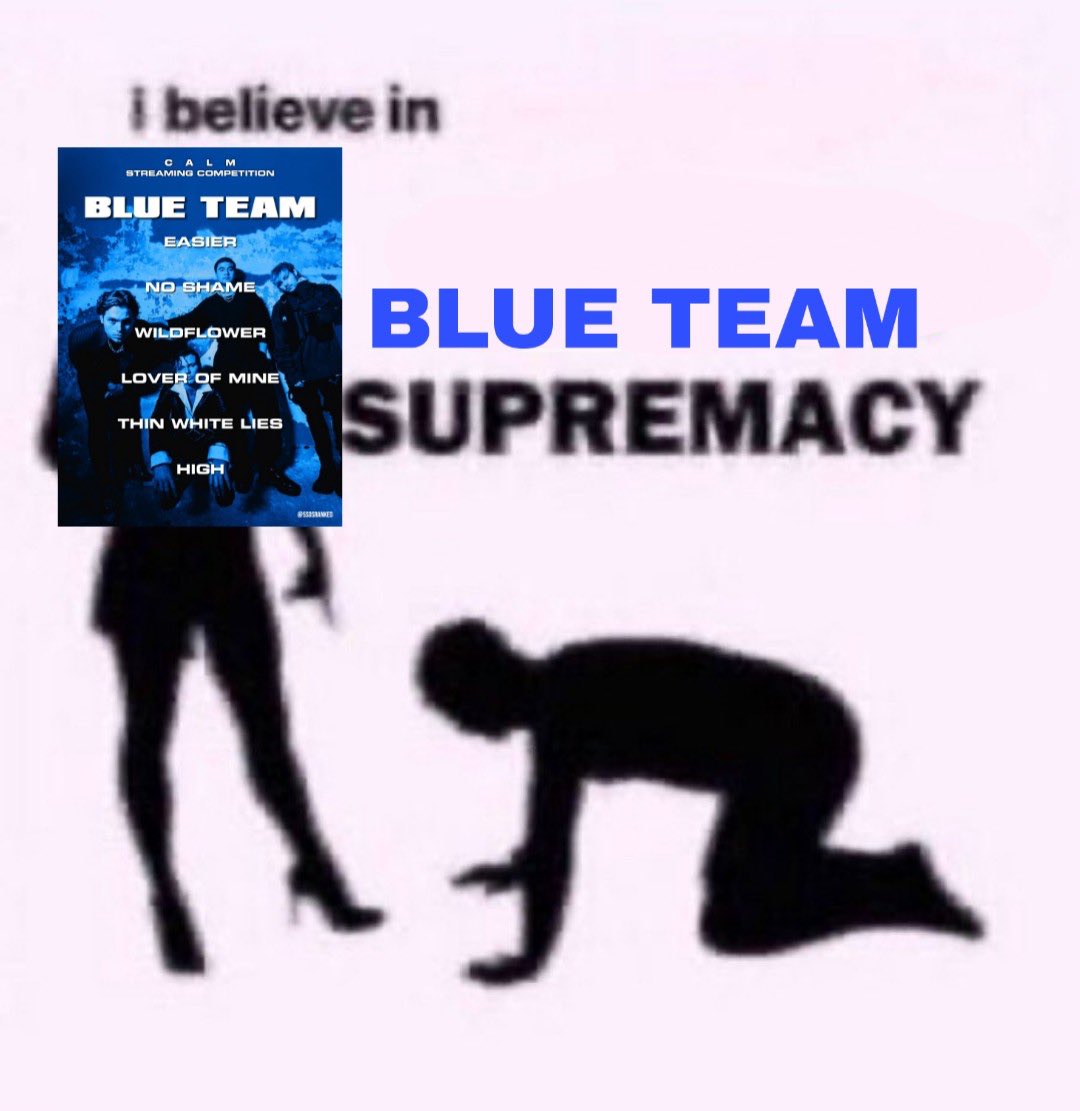 elytravault's tweet image. anyways #BLUETEAM #STREAMNOSHAME #CALMPromoComp