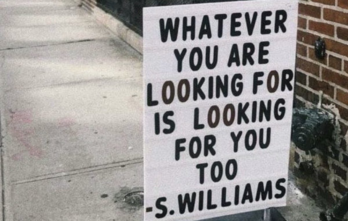 what are you looking for?