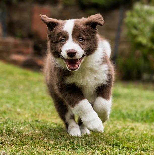 LazyBonezz's tweet photo. I just love the wind in my hair https://t.co/ctHh5bHq5k