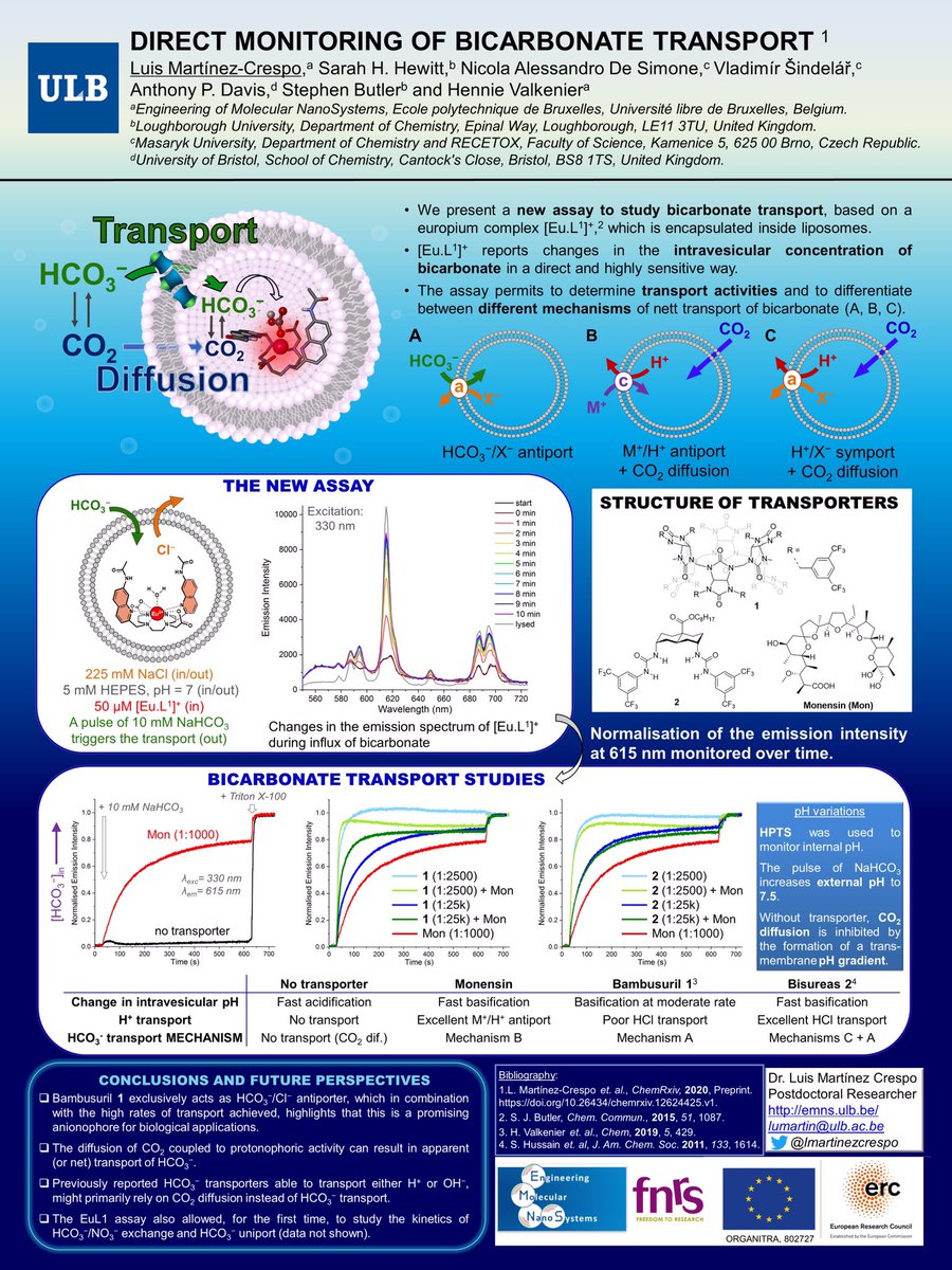 lmartinezcrespo's tweet photo. Don't miss my #ISMSCPoster for @ismsc2020 about our new assay to study bicarbonate transport. #biomimetics5 https://t.co/th92s81TFY