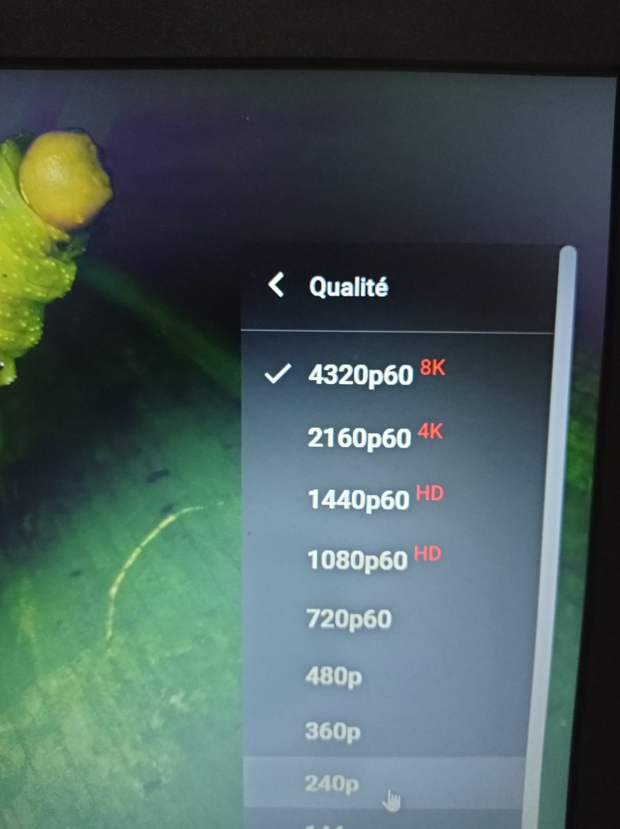 famouslyshiftin's tweet photo. Pure flex.
I can watch 8K without studders.
I don't have an 8K display.
And it's loading just fine. #powerfulnetwork
@inwi thank you 😄 https://t.co/xKr1Akm15o