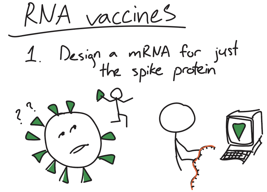 To design better vaccines, we need as many creative minds as possible on board at <a href="/eternagame/">Eterna</a>. Check out our new article describing the science behind the OpenVaccine project and our new paper at rb.gy/c8hcu6