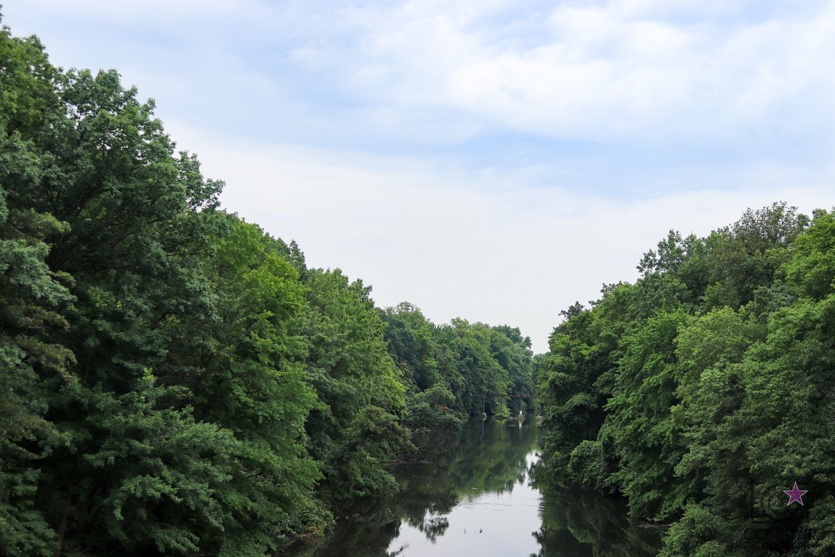 Bronx River.
.
.
.
.
.⠀
#blackphotographers #photographersofcolor #photogsofcolor #blackfemalephotographers #blackphotographersunite #photograpHER #bgaw #photography #constarphotography #canonphotography #blackphotography