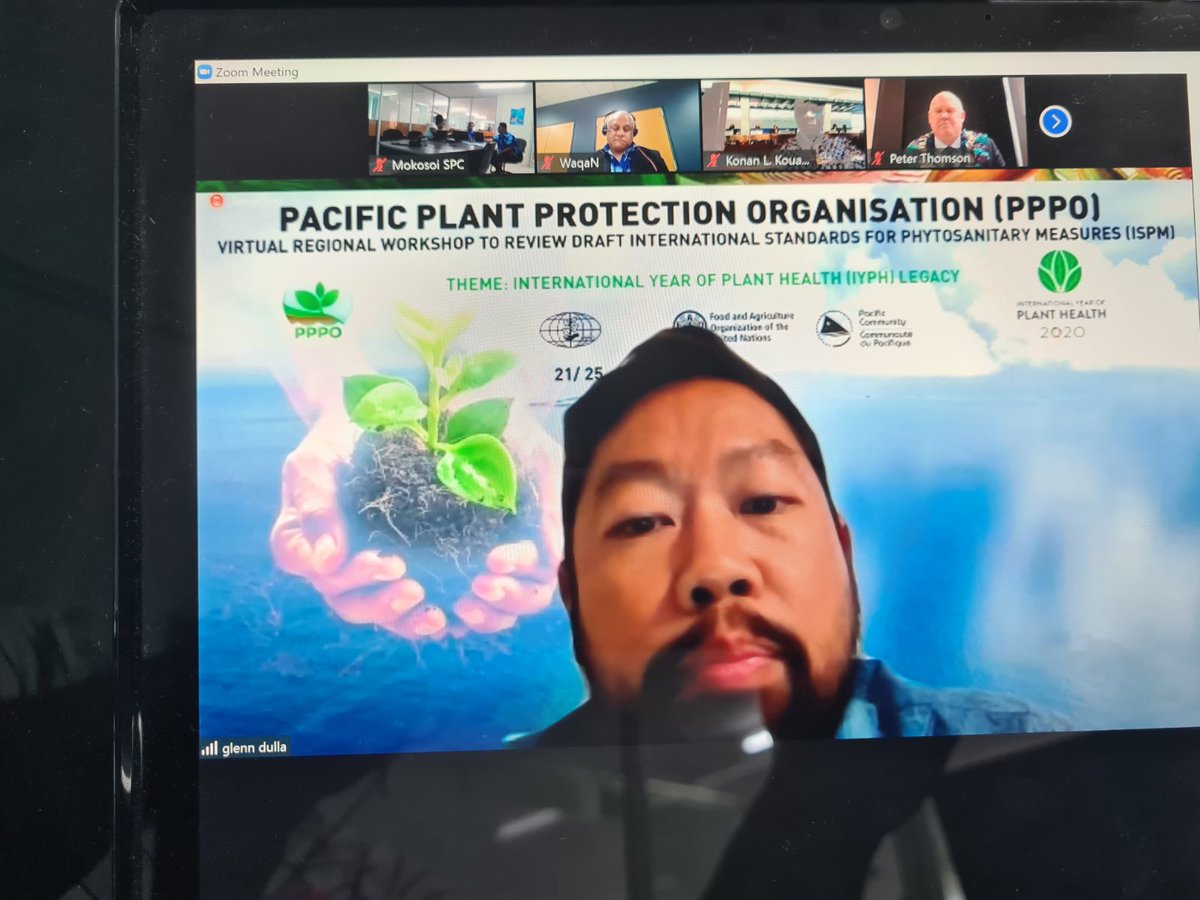 spc_live's tweet photo. Day 2 of the Pacific Plant Protection Organisation (PPPO) virtual regional workshop #happeningnow. 
Over 30 representatives from around the region are meeting to review draft international standards for Phytosanitary Measures.  #PlantHealth #IYPH2020 #LRD #IPPC https://t.co/joj7dpkFCv