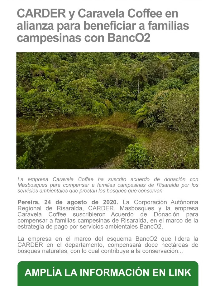 CARDER Risaralda (@carderrisaralda) on Twitter photo CARDER y Caravela Coffee en alianza para beneficiar a familias campesinas con BancO2
Continuar leyendo bit.ly/3j9gItO
#Carder #ElAmbienteNosUne #Risaralda #MedioAmbiente <a href="/MasBosquesCol/">Masbosques ®</a> @ban_co2 <a href="/caravelacoffee/">Caravela Coffee</a> CARDER y Caravela Coffee en alianza para beneficiar a familias campesinas con BancO2
Continuar leyendo bit.ly/3j9gItO
#Carder #ElAmbienteNosUne #Risaralda #MedioAmbiente <a href="/MasBosquesCol/">Masbosques ®</a> @ban_co2 <a href="/caravelacoffee/">Caravela Coffee</a>
