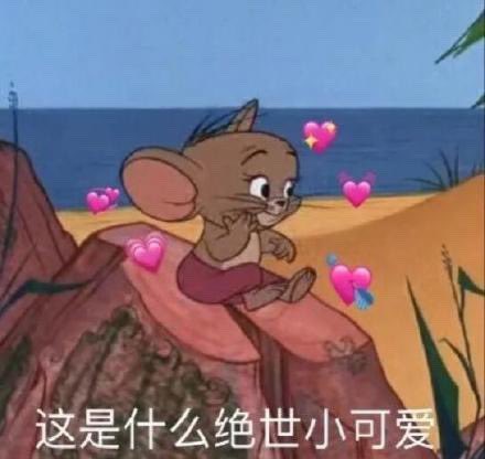 cherrySY9's tweet photo. @seegasmworlds Kitty is back! I am so happy!!! How lovely he is! Happy circle, today is China's Valentine's day, very happy to see you two together on this day!!!🐱🐷💕 https://t.co/6ckKurF27k