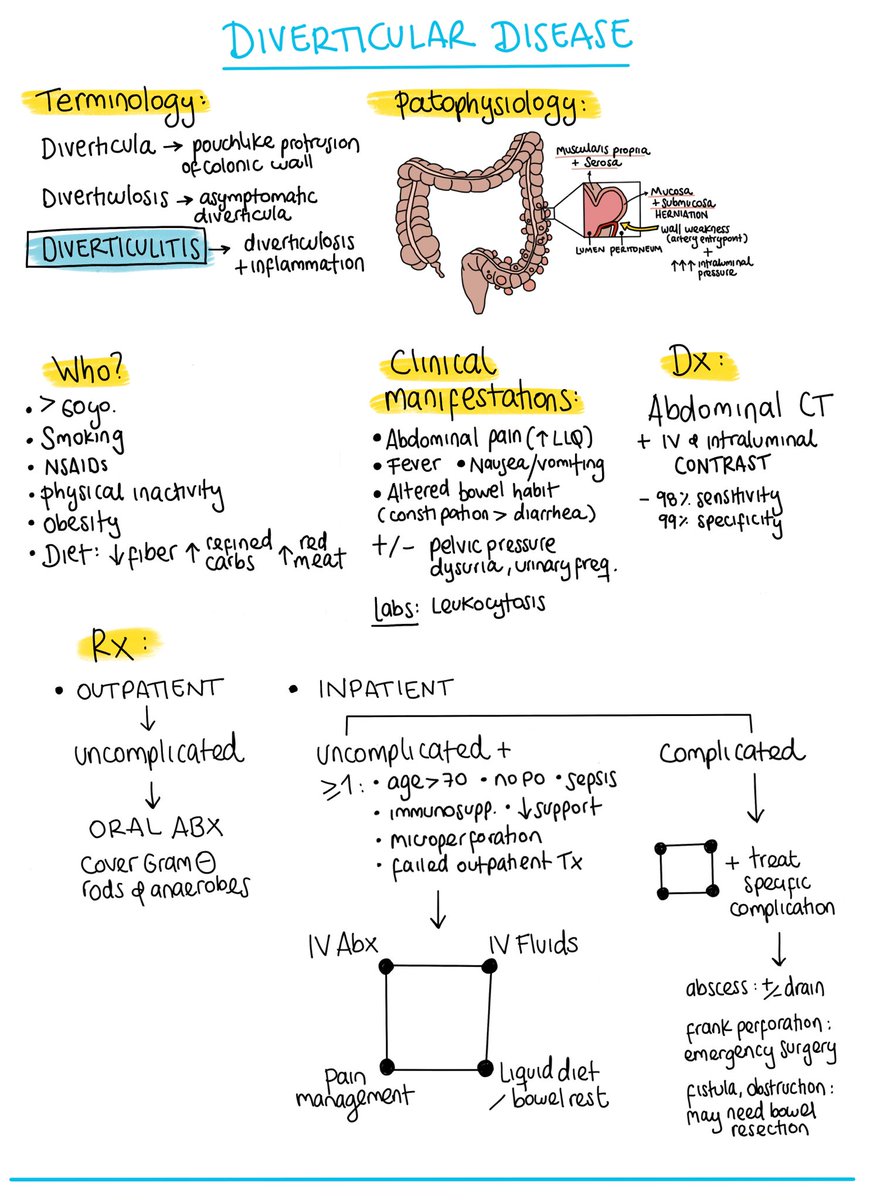 Sandra Saade tweet media